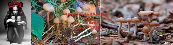кристаллы Остров
