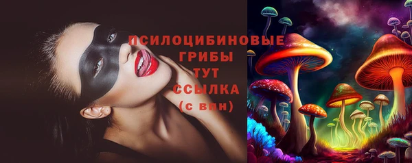твердый Осташков
