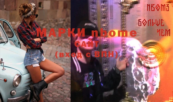 твердый Осташков