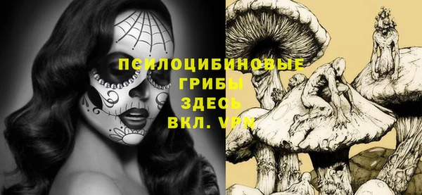 твердый Осташков