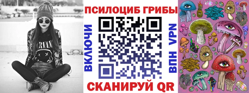 Псилоцибиновые грибы прущие грибы Бабушкин